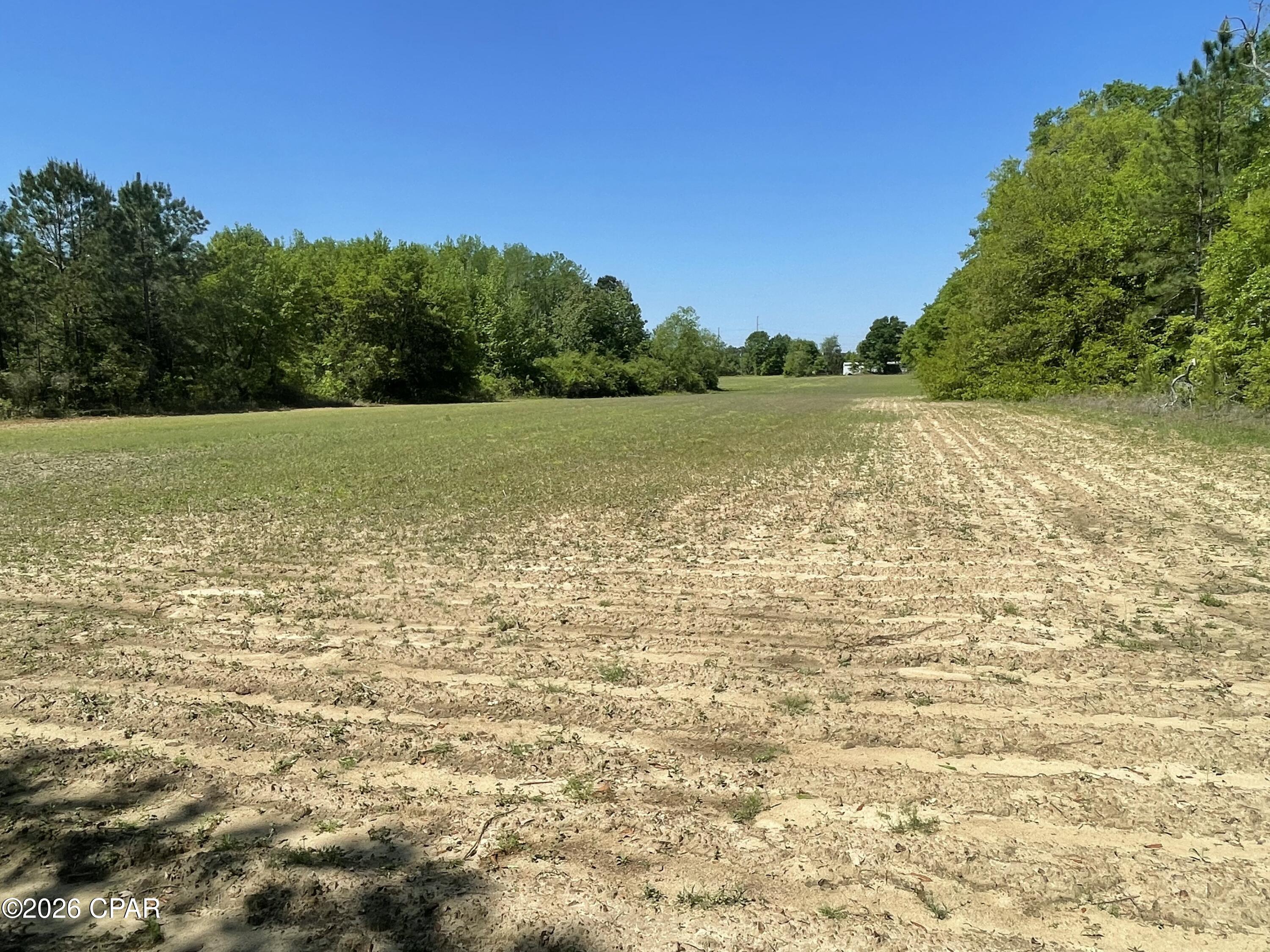 0 Peanut Road Graceville, FL 32440 - Photo 12 of 22