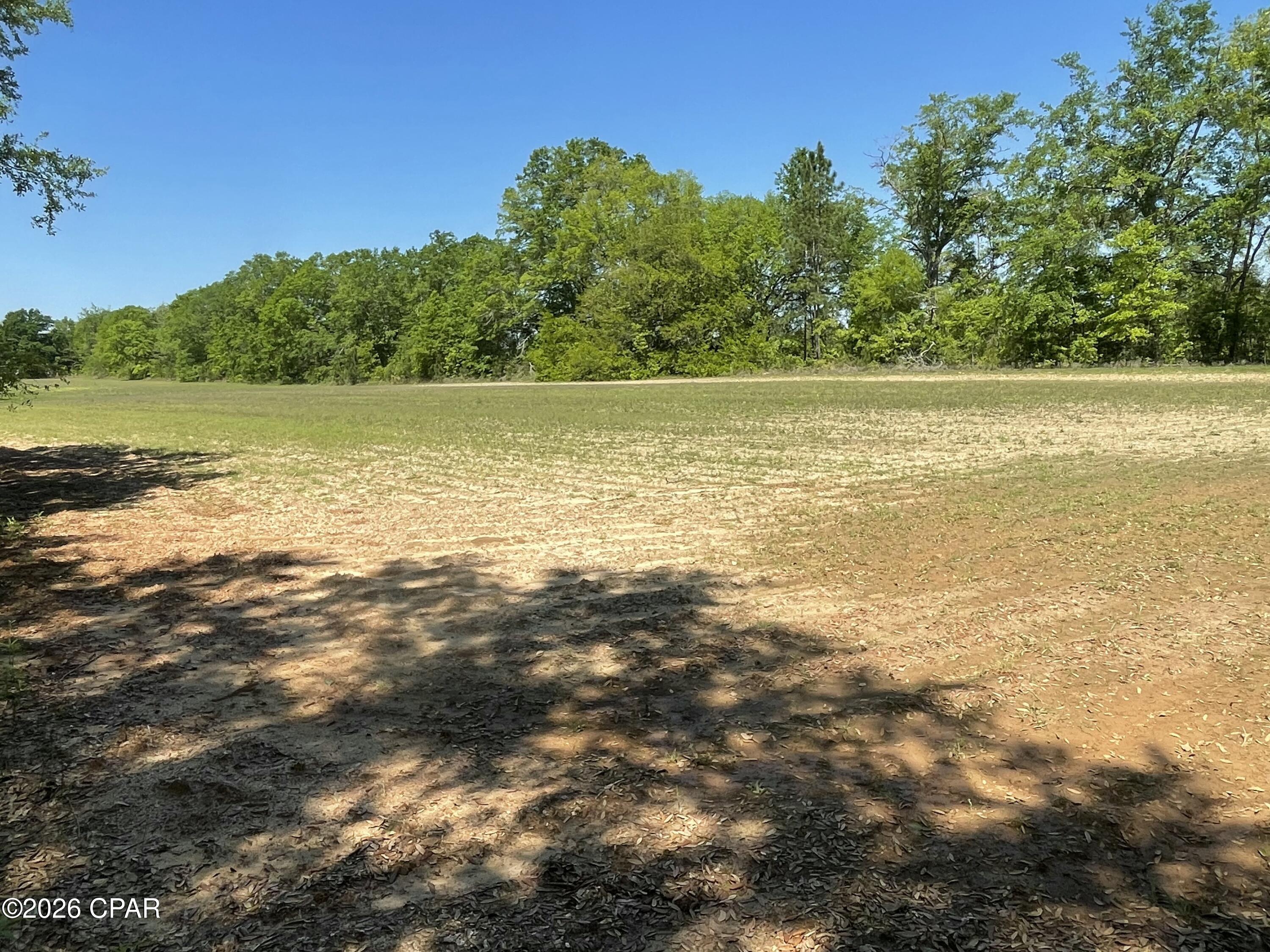 0 Peanut Road Graceville, FL 32440 - Photo 13 of 22