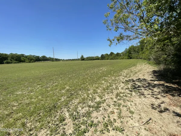 $195,000 | 0 Peanut Road, Graceville, FL 32440