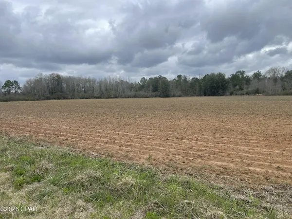 $195,000 | 0 Peanut Road, Graceville, FL 32440