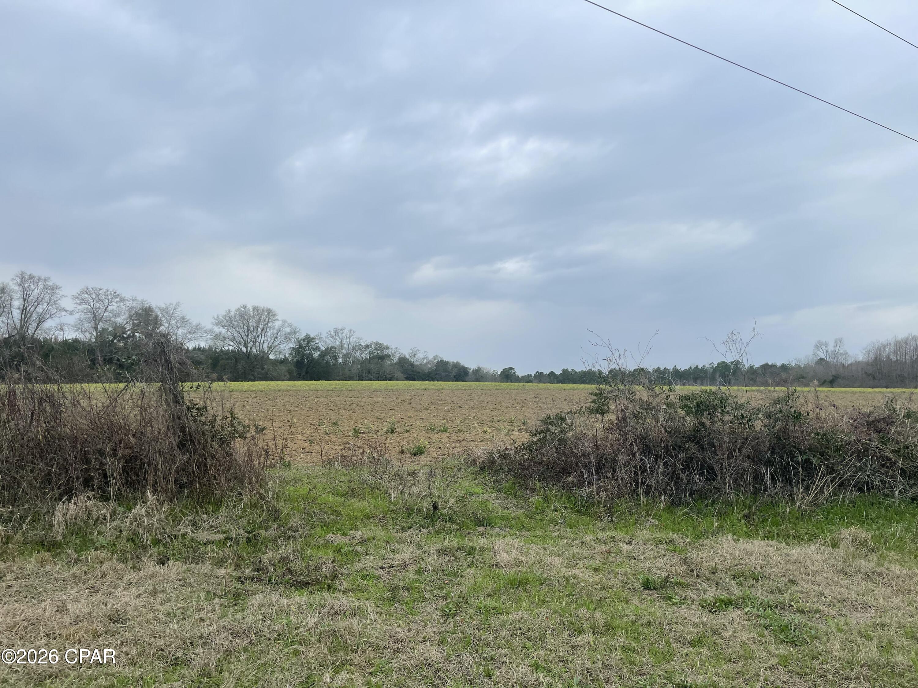 0 Peanut Road Graceville, FL 32440 - Photo 16 of 22