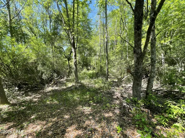 $195,000 | 0 Peanut Road, Graceville, FL 32440