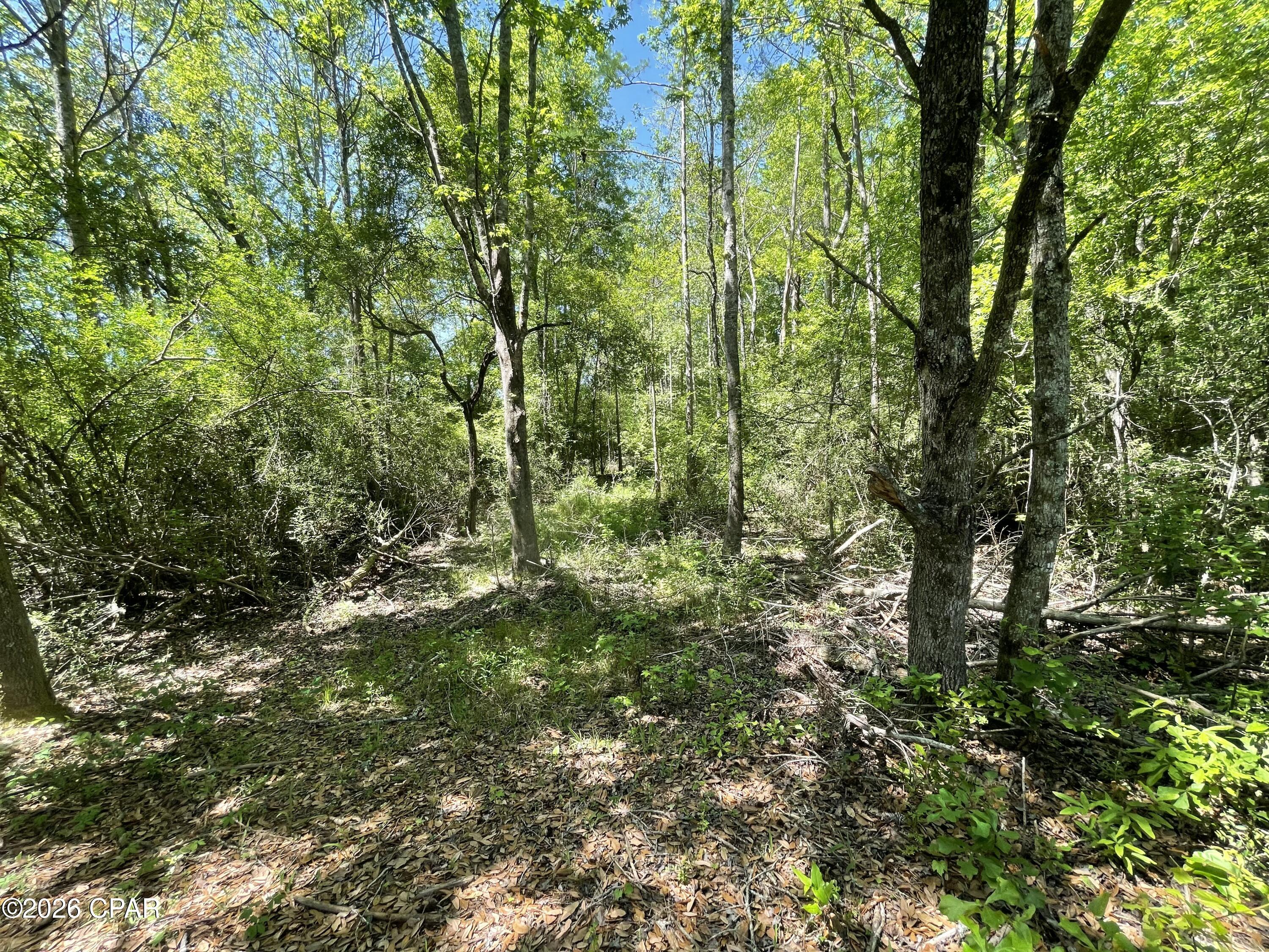 0 Peanut Road Graceville, FL 32440 - Photo 18 of 22