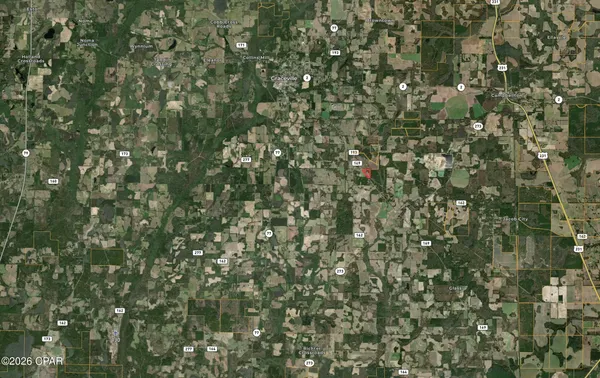 $195,000 | 0 Peanut Road, Graceville, FL 32440