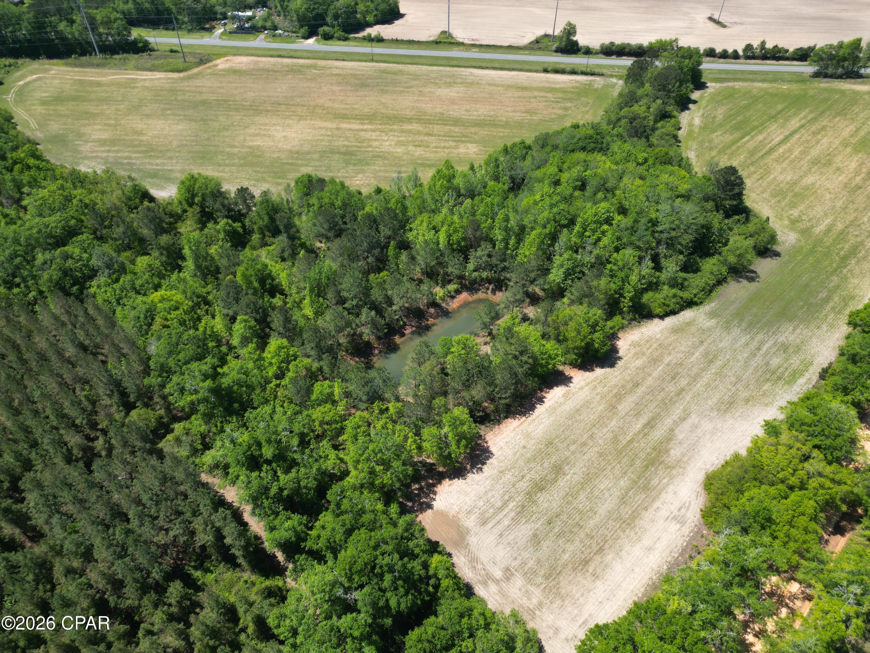 0 Peanut Road Graceville, FL 32440 - Photo 6 of 22