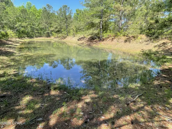 $195,000 | 0 Peanut Road, Graceville, FL 32440