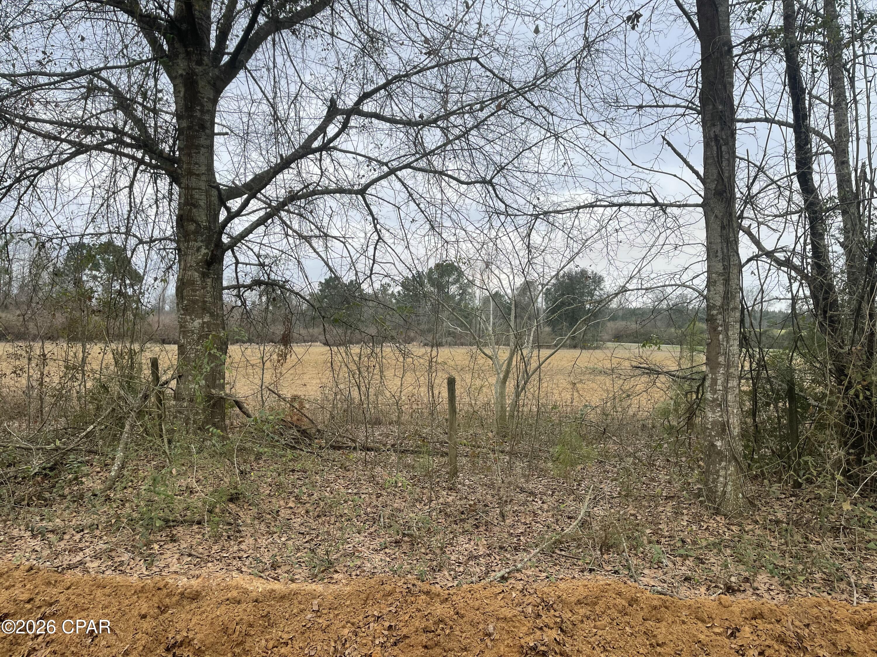 0 Peanut Road Graceville, FL 32440 - Photo 10 of 22