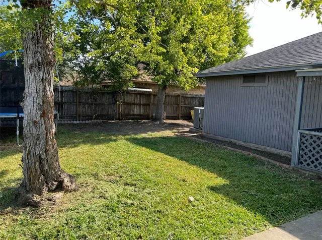 a view of a backyard with a tree