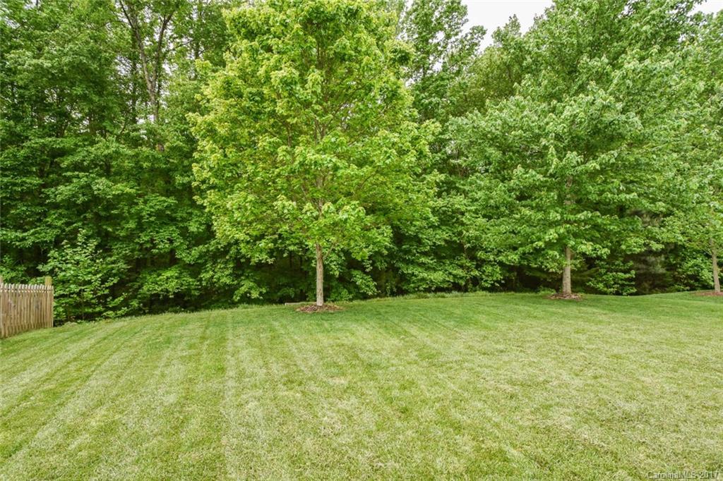 340 Sand Paver Way Fort Mill, SC 29708 - Photo 18 of 18