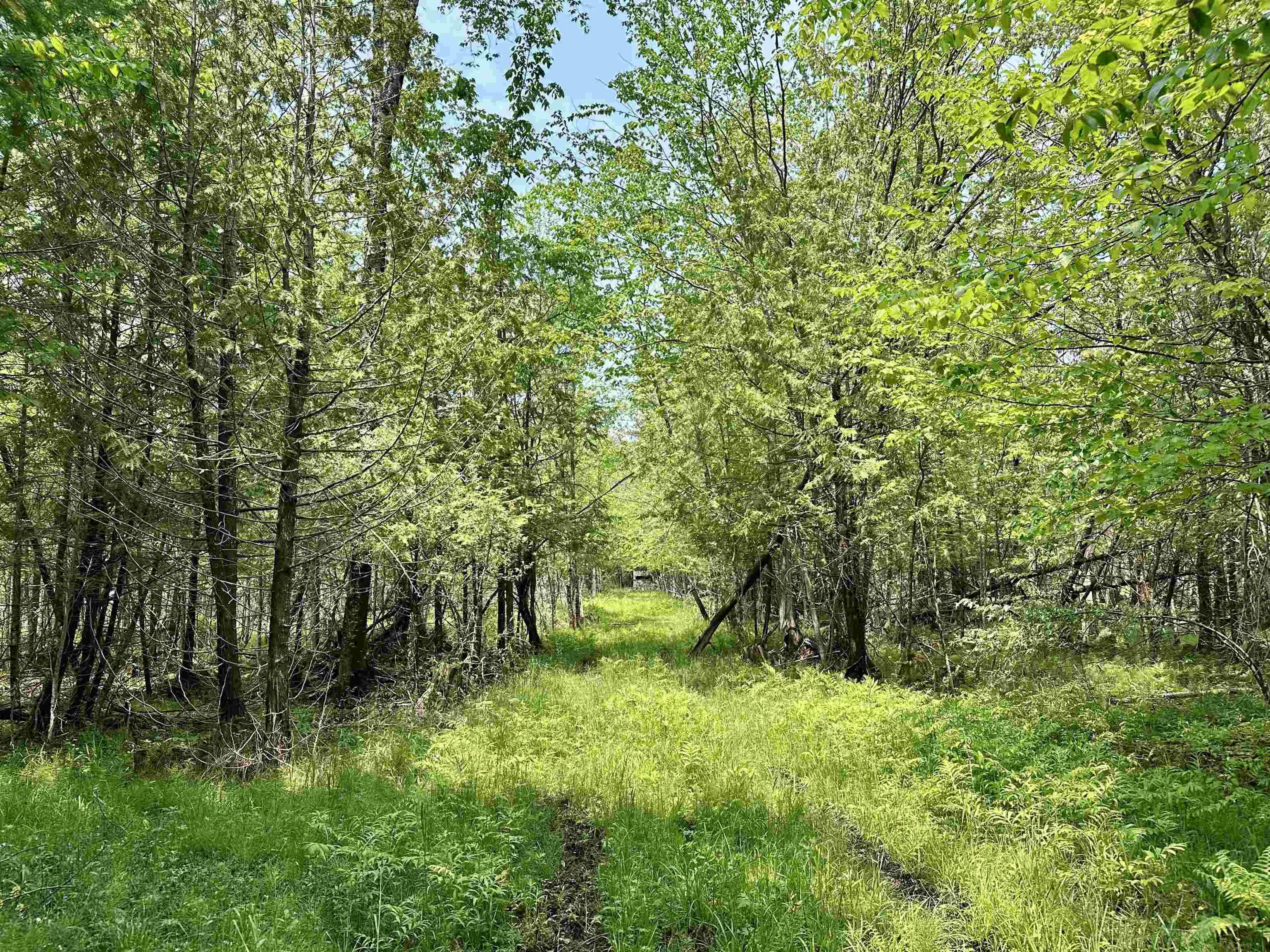 90-acres East Otto Road Suttons Bay, MI 49682 - Photo 35 of 68 Gallery Image 35