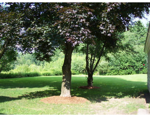 78 West Townsend Road Lunenburg, MA 01462 - Photo 10 of 10 a view of a garden with a tree