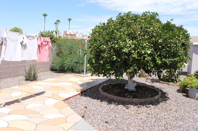 5816 East Decatur Street Mesa, AZ 85205 - Photo 10 of 11 10