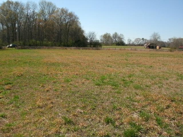 0 Scott Orchard Road Taft, TN 38488 - Photo 8 of 9 a view of an outdoor space and a yard