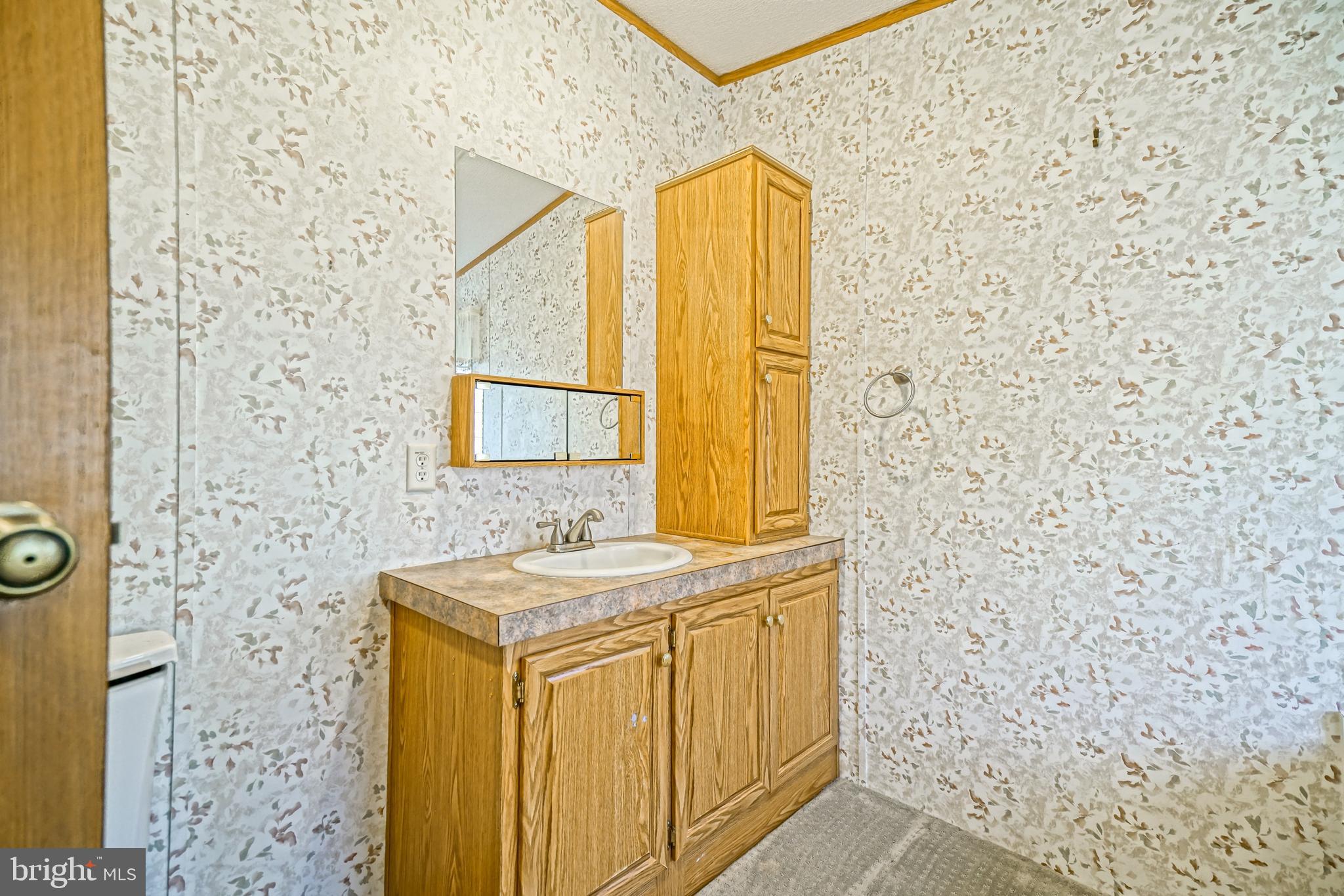 22916 Pine Road Lewes, DE 19958 - Photo 17 of 35 a bathroom with a sink and a mirror
