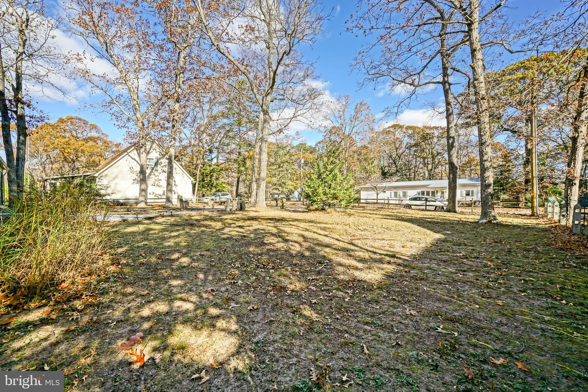22916 Pine Road Lewes, DE 19958 - Photo 32 of 35 a view of yard with trees