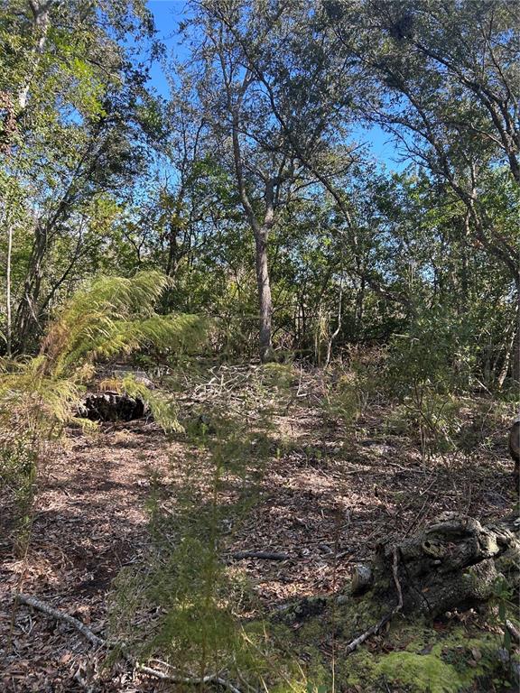 7740 East Smoke Trail Inverness, FL 34453 - Photo 3 of 8