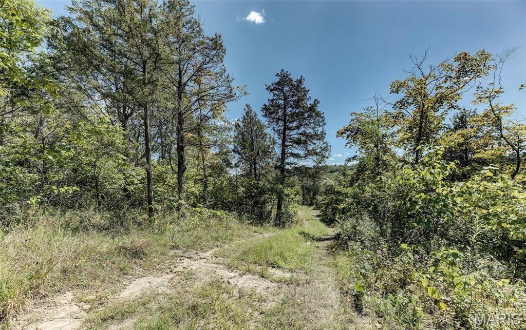 43 Acres /- Ridge Road Dittmer, MO 63023 - Photo 3 of 13 Gallery Image 3