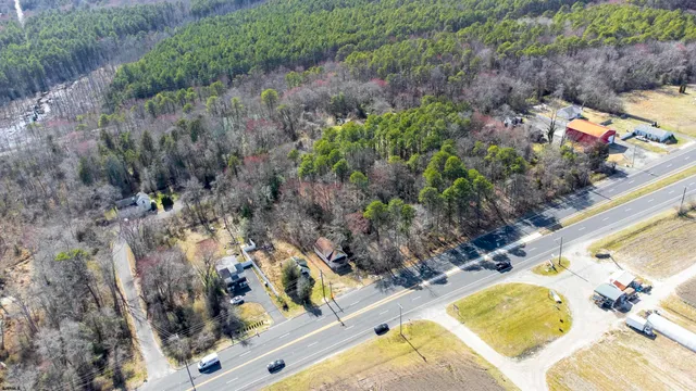 a view of a yard with plants