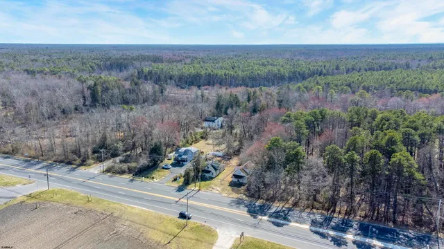 a view of a backyard with plants and a lake view