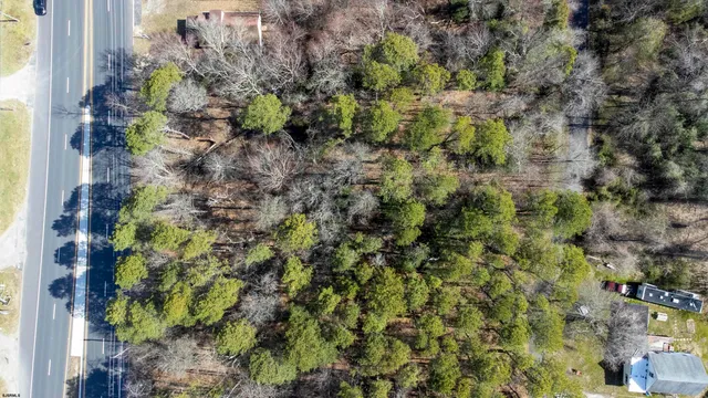 a view of a plant with a plant