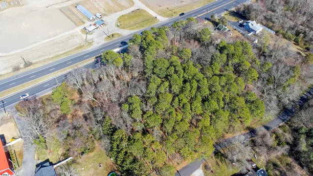a close up of a plant