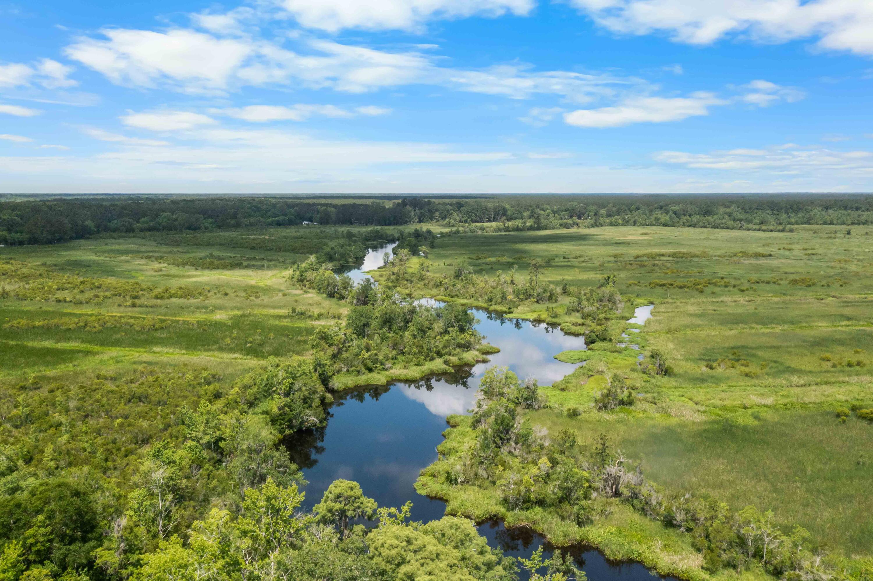 589 Back Field Road Walterboro, SC 29488 - Photo 5 of 30 River view