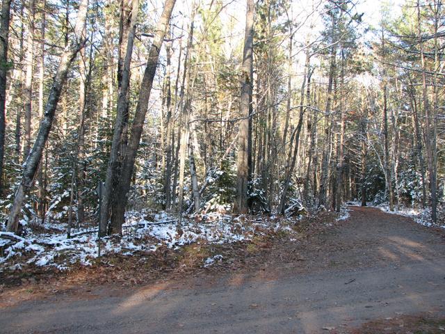 Lot 8 Forest Road Land O'Lakes, WI 54540 - Photo 2 of 4 Gallery Image 2
