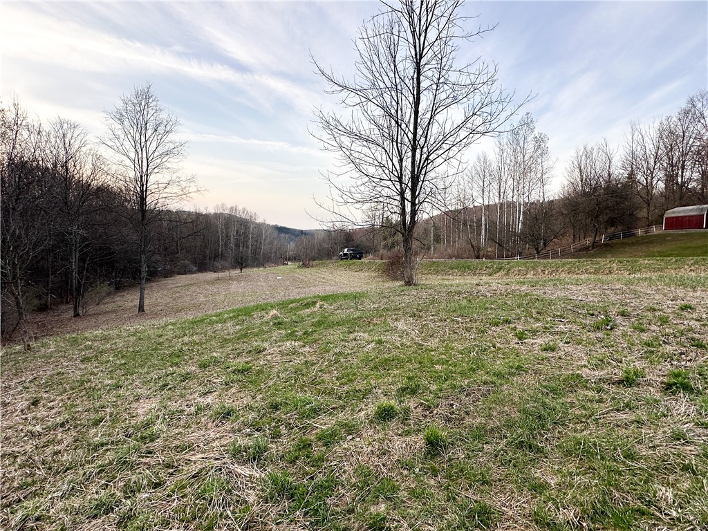 Lot 10 Brennan Road Addison, NY 14801 - Photo 20 of 29 Gallery Image 20