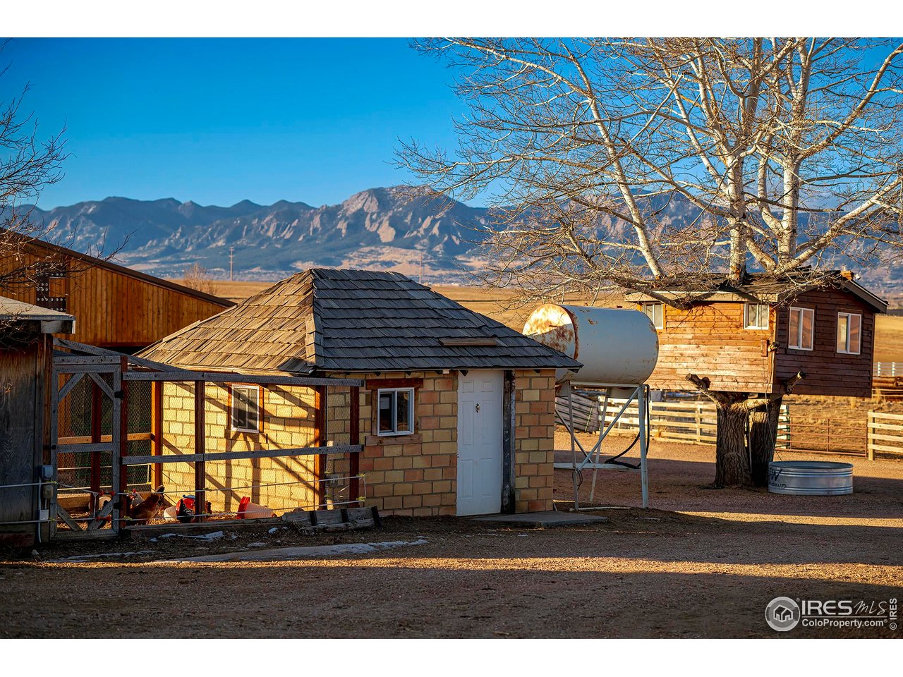 8642 Mineral Road Longmont, CO 80503 - Photo 21 of 41 Historic cookhouse and tree house