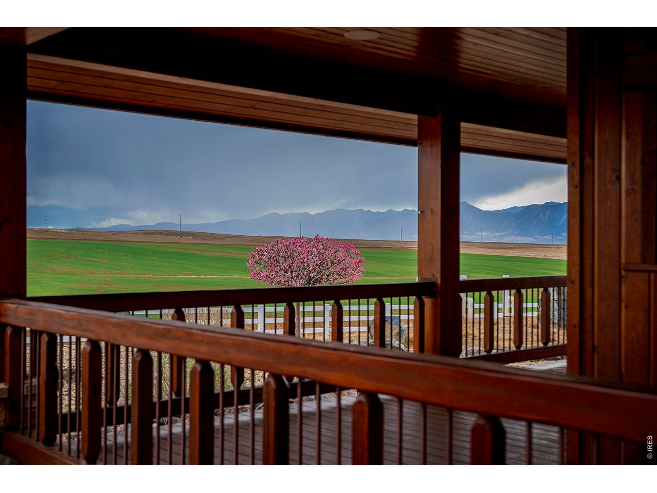 8642 Mineral Road Longmont, CO 80503 - Photo 40 of 50