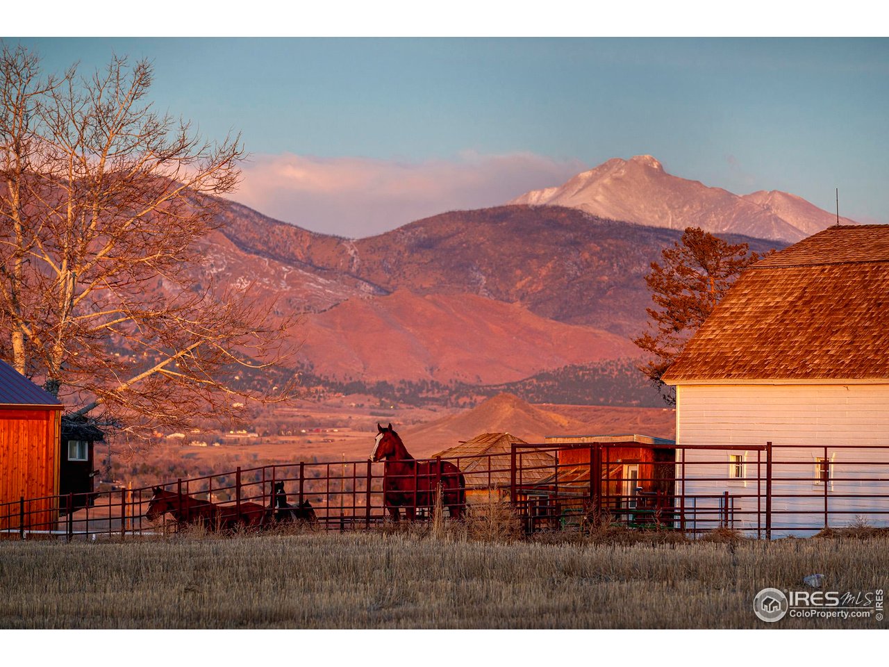 8642 Mineral Road Longmont, CO 80503 - Photo 45 of 50 Longs Peak Looms