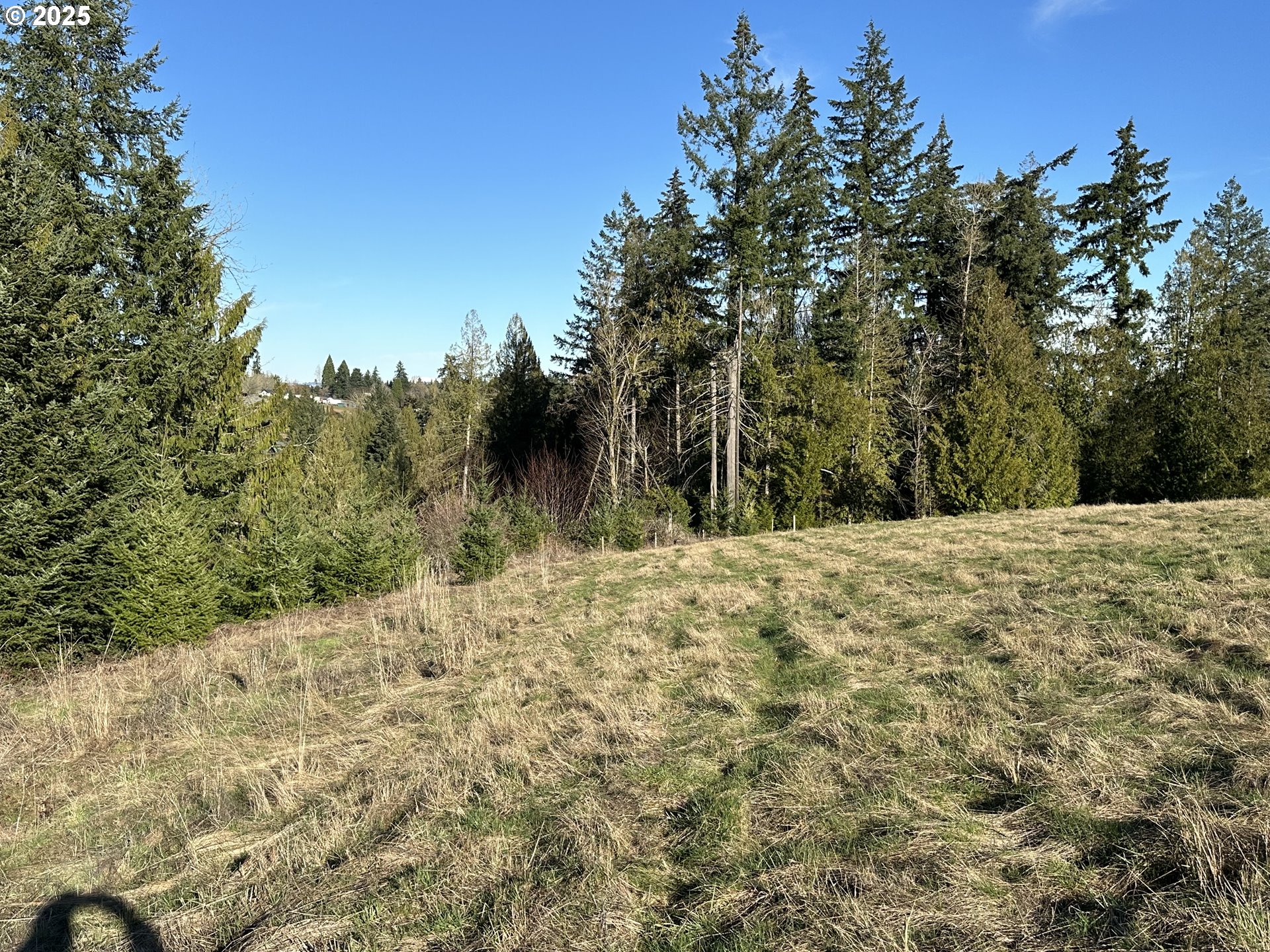 20845 Southwest Kruger Road Sherwood, OR 97140 - Photo 11 of 19 Gallery Image 11
