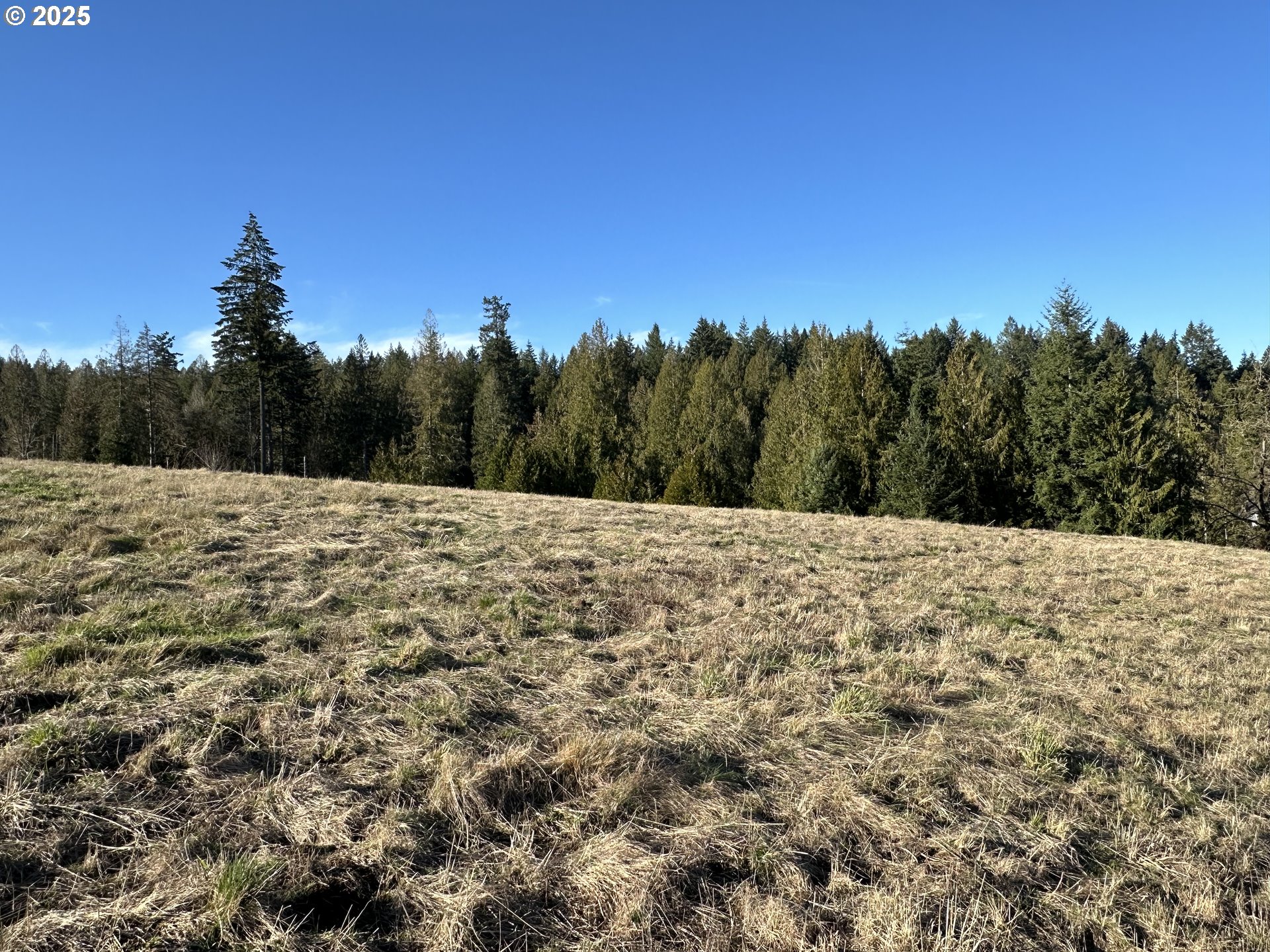 20845 Southwest Kruger Road Sherwood, OR 97140 - Photo 5 of 19 Gallery Image 5