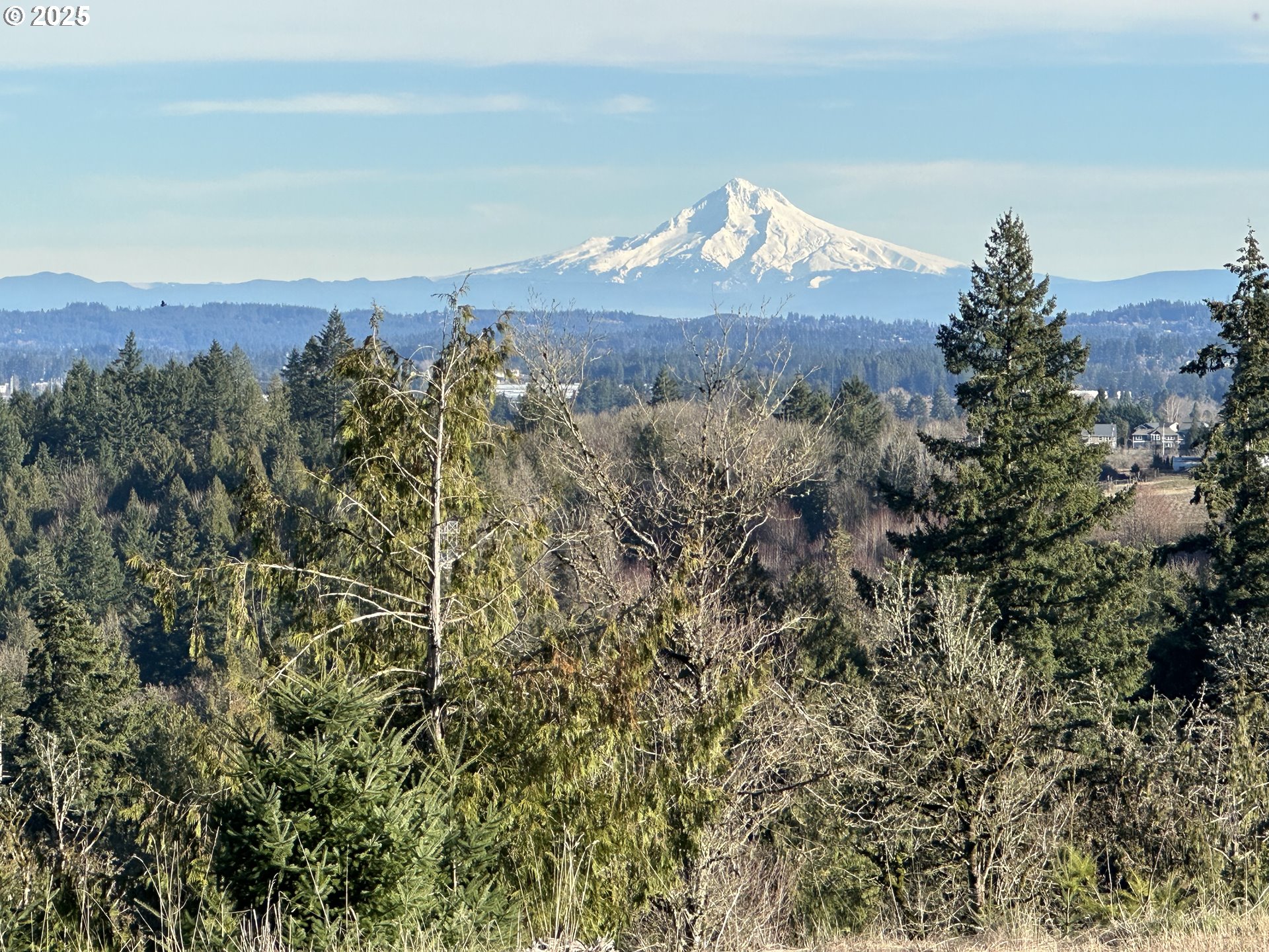 20845 Southwest Kruger Road Sherwood, OR 97140 - Photo 9 of 19 Gallery Image 9