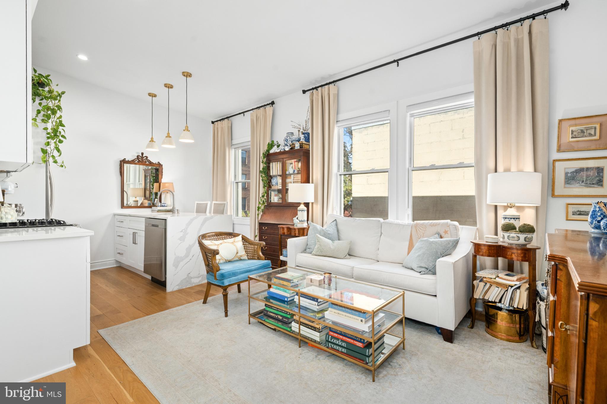 317 3rd Street Southeast, Unit 33 Washington, DC 20003 - Photo 1 of 26 a living room with furniture and a large window