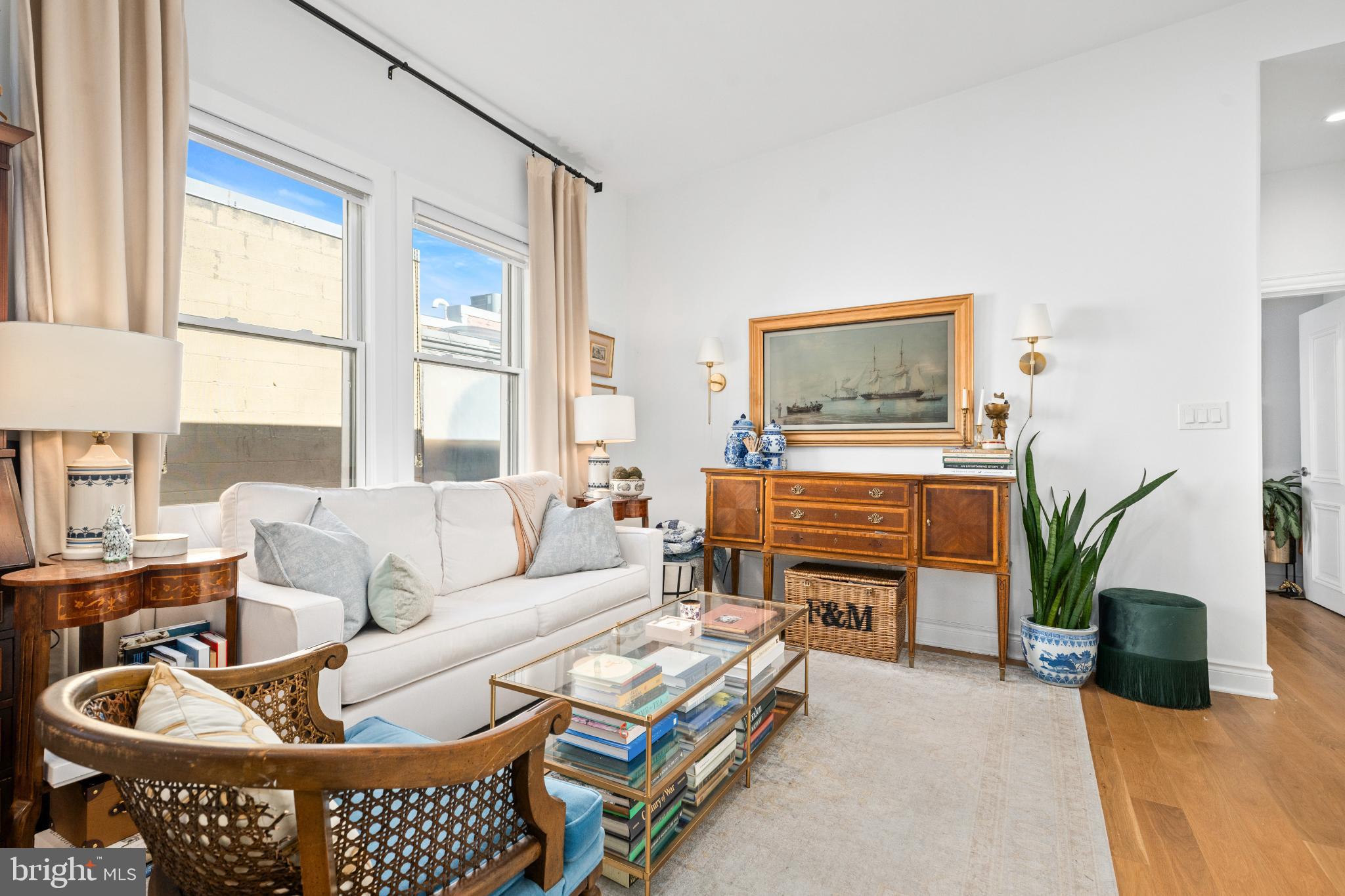 317 3rd Street Southeast, Unit 33 Washington, DC 20003 - Photo 11 of 26 a living room with furniture and a potted plant