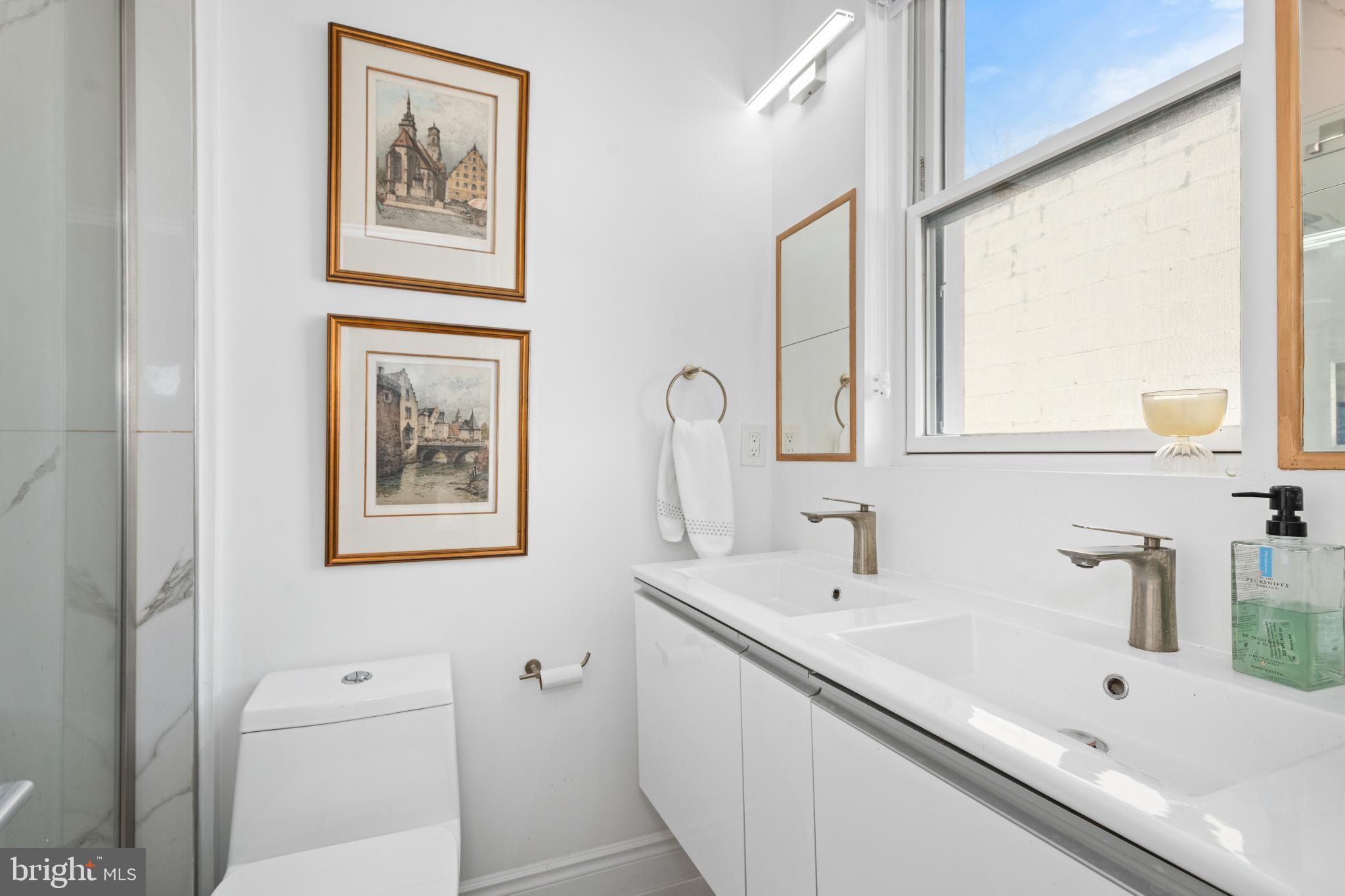 317 3rd Street Southeast, Unit 33 Washington, DC 20003 - Photo 25 of 26 a bathroom with a sink mirror and a bathtub