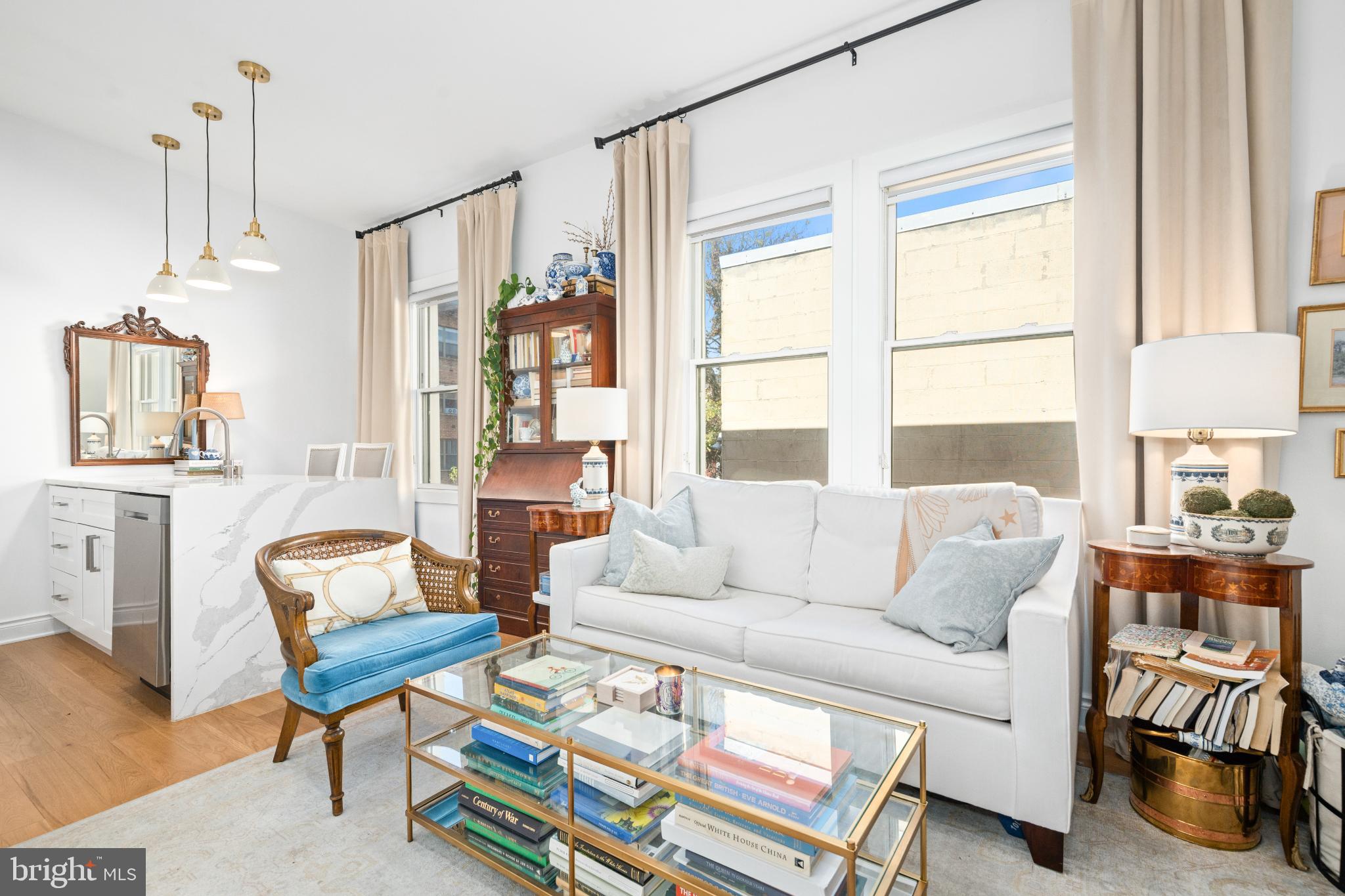 317 3rd Street Southeast, Unit 33 Washington, DC 20003 - Photo 6 of 26 a living room with furniture and a window