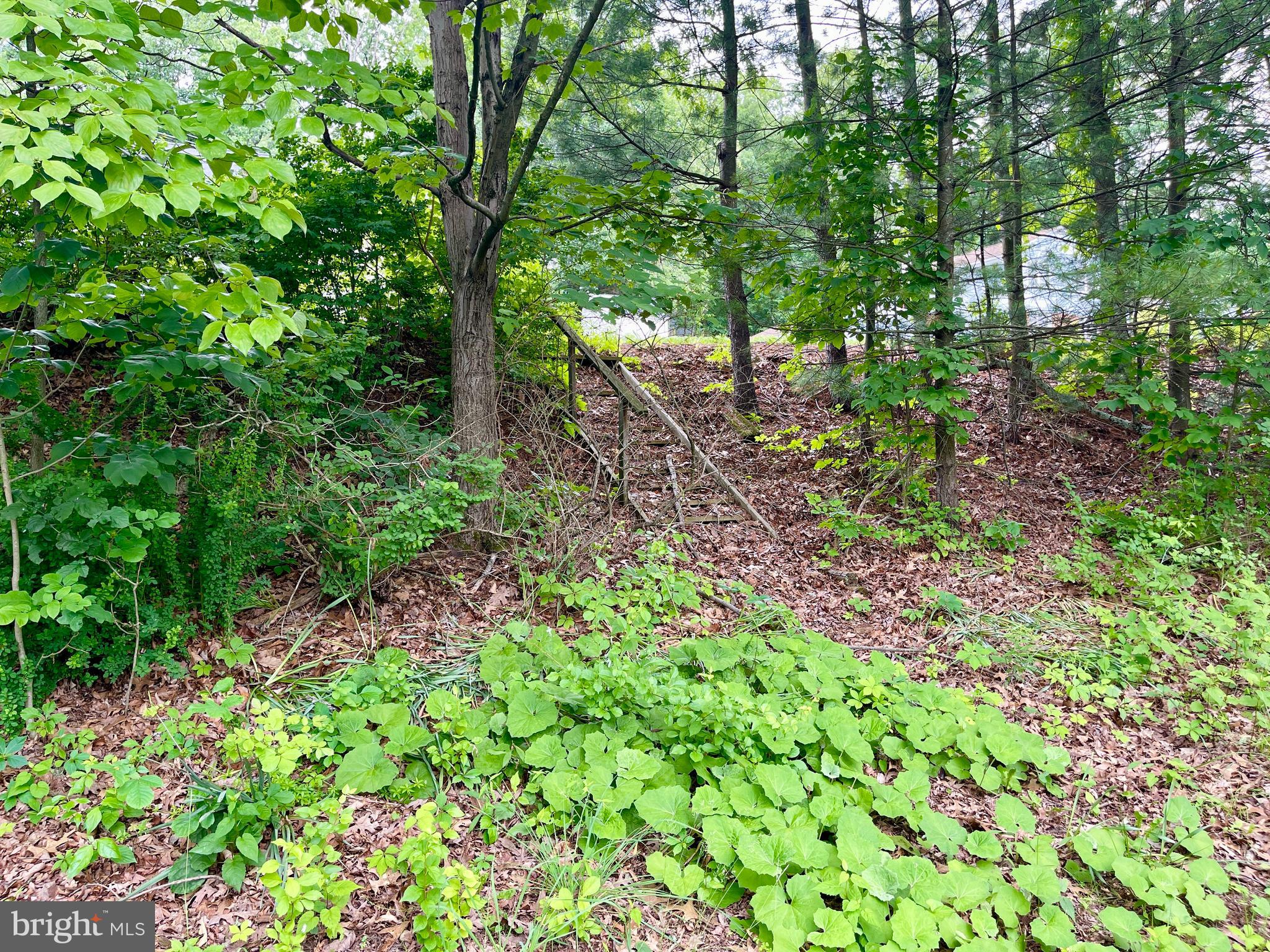 11010 Cash Valley Road Northwest Cumberland, MD 21502 - Photo 82 of 88