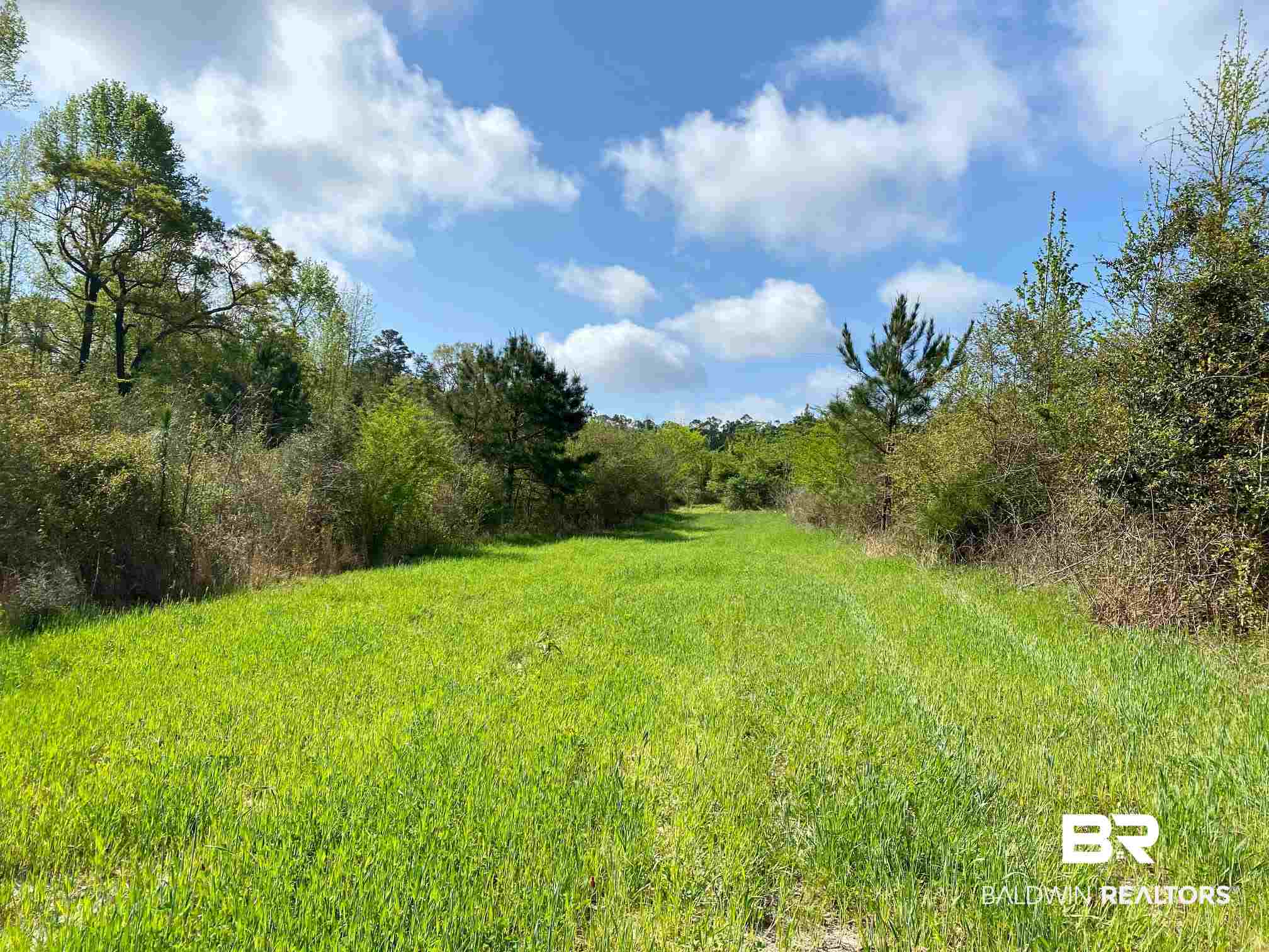 1069 Cemetery Road Range, AL 36473 - Photo 22 of 26