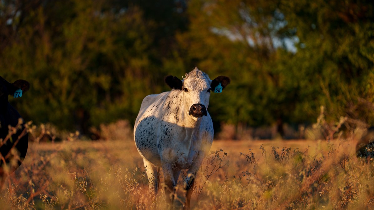 T-6 Providence Road Hearne, TX 77859 - Photo 25 of 25