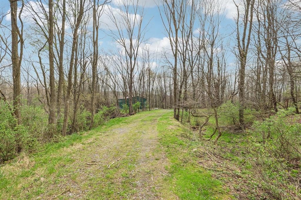 3378 Hillsville Road Edinburg, PA 16116 - Photo 31 of 46