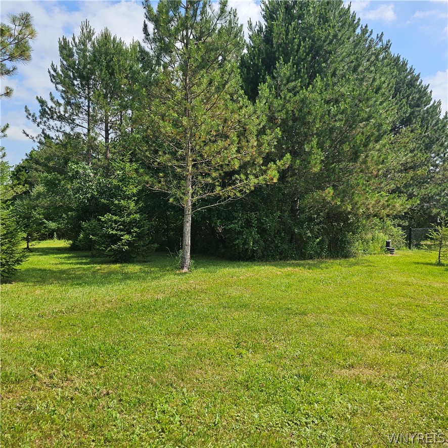 10248 Clarksburg Road North Collins, NY 14057 - Photo 20 of 35