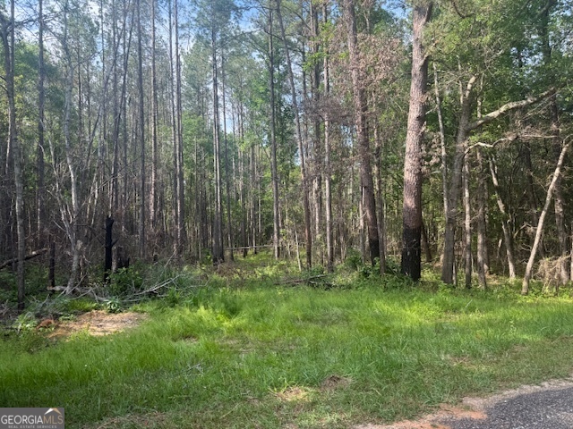 0 Lower Lumpkin Road Georgetown, GA 39854 - Photo 11 of 23 a view of outdoor space and green space