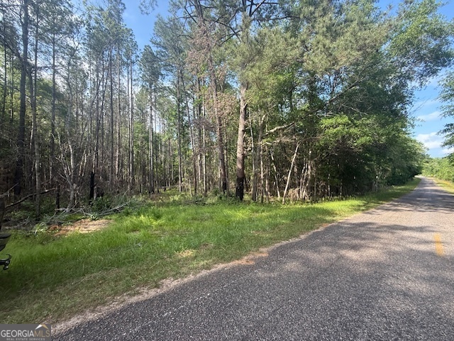 0 Lower Lumpkin Road Georgetown, GA 39854 - Photo 12 of 23 a view of a park with large trees
