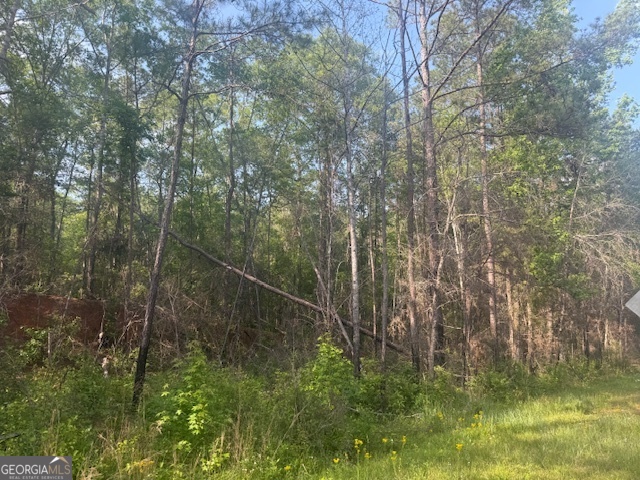 0 Lower Lumpkin Road Georgetown, GA 39854 - Photo 13 of 23 a view of a forest with a house in the background
