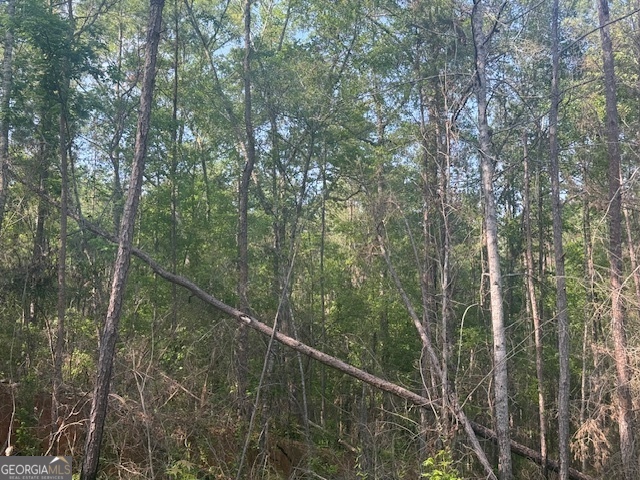 0 Lower Lumpkin Road Georgetown, GA 39854 - Photo 15 of 23 a view of a forest from balcony