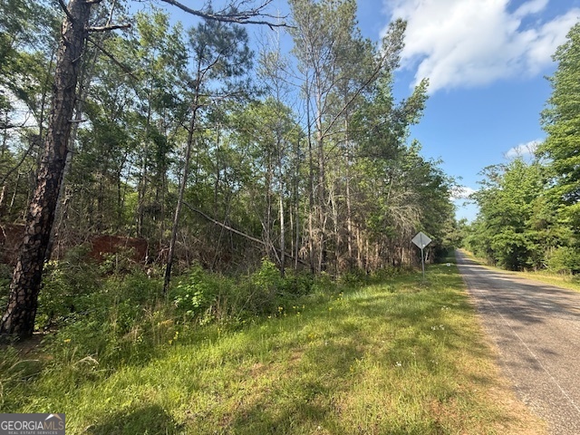 0 Lower Lumpkin Road Georgetown, GA 39854 - Photo 16 of 23 a backyard of a house with lots of green space
