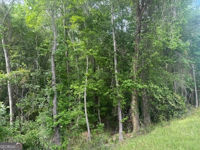 0 Lower Lumpkin Road Georgetown, GA 39854 - Photo 18 of 23 a view of a lush green forest
