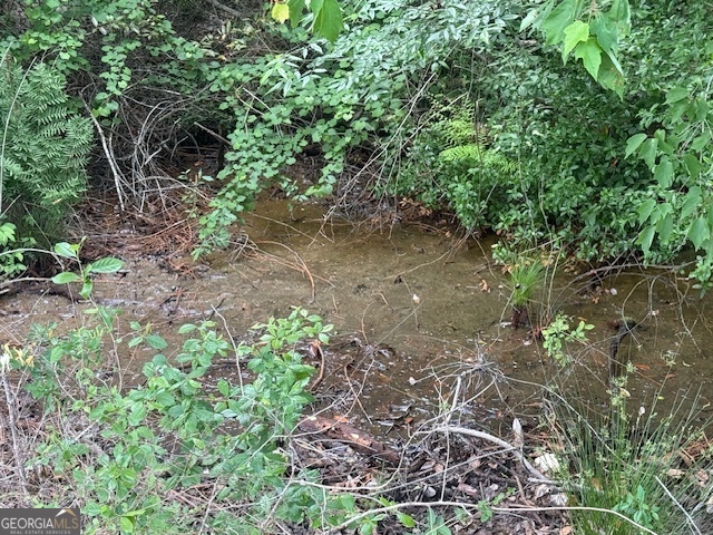 0 Lower Lumpkin Road Georgetown, GA 39854 - Photo 19 of 23 a view of a yard